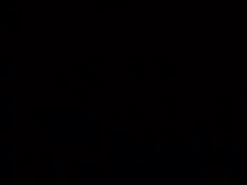 aj297914 — Freechat on Chaturbate