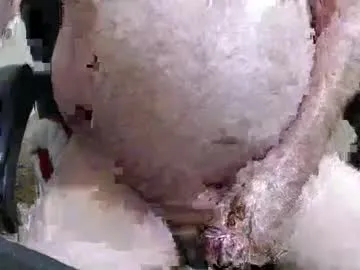 andy523 — Freechat on Chaturbate