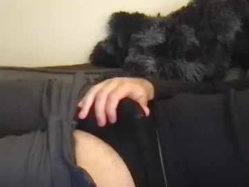 importantbusinessman69 — Freechat on Chaturbate