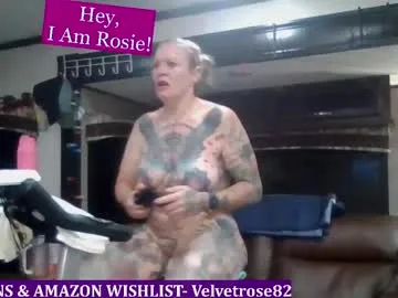 velvetrose82 — Velvetrose82's room muted workouts spy