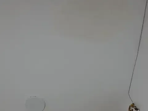Alice_pussyhairy — naked ,salliva +squirt