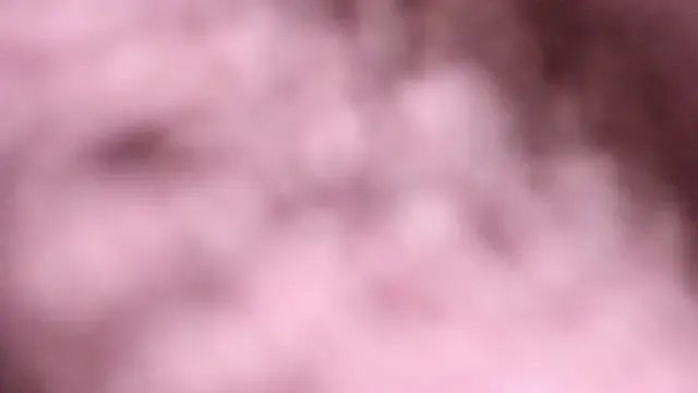 camila_tailors — Freechat on StripChat