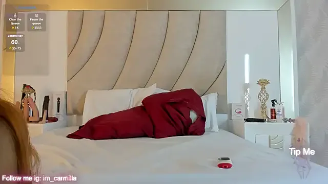 Carmilla_ — ride pillow + suck dildo