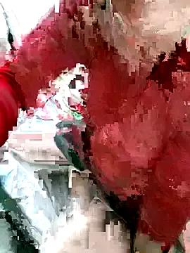 StripChat Elina_99 is Freechat Elina_99 — Freechat on StripChat