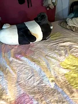 Fresi_blonde — DILDO IN VAGINA + FINGER IN ASS 