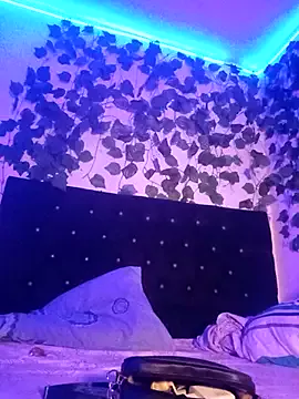 Gatita_flip — Desnudarme
