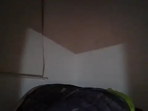 kinkyfag94 — lovense toys