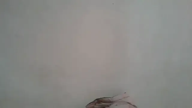Kity_doll — anal