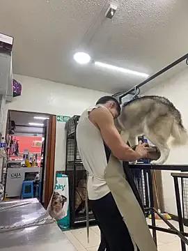 Leonardmoppet — Cum show