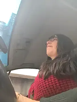 MAFE__29 — I fuck with my dildo in the car