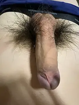 moshf — Freechat on StripChat