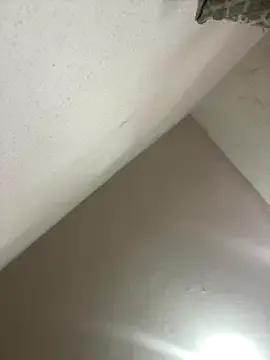 safadinhabr_01 — Striper