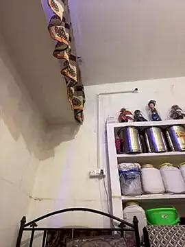 Sapnahot34 — All show