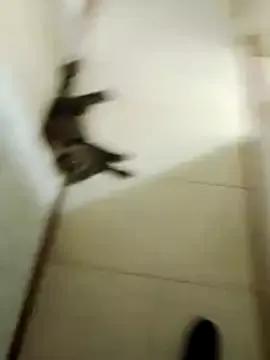 Shadow_Secret — Hacerla venir mientras trabaja