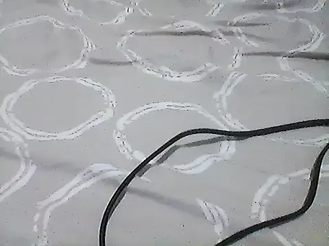 Shauna_bruny — Hard orgasm