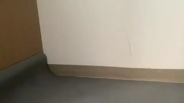 shdhdjag —  public cum