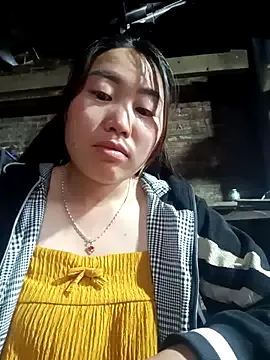siki-00 — Ngy mi tt lnh 