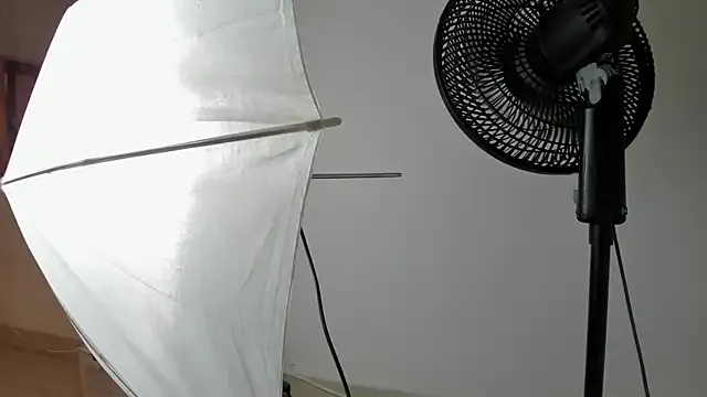 VanessaHard_as — spank ass and pussy