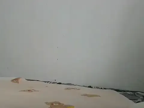 Willbiee — squirt showw